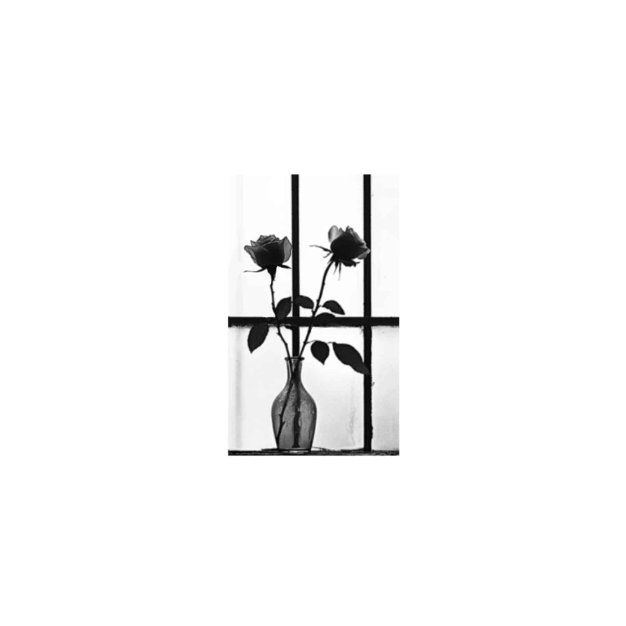 les fleurs du mal